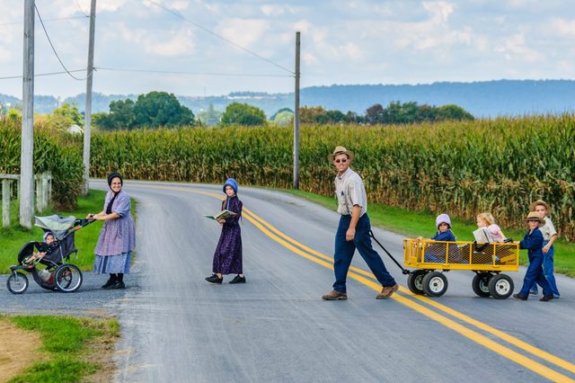 Family crosses rural road; a woman pushes a stroller, a girl reads a book, and a man pulls kids in a wagon near cornfields.