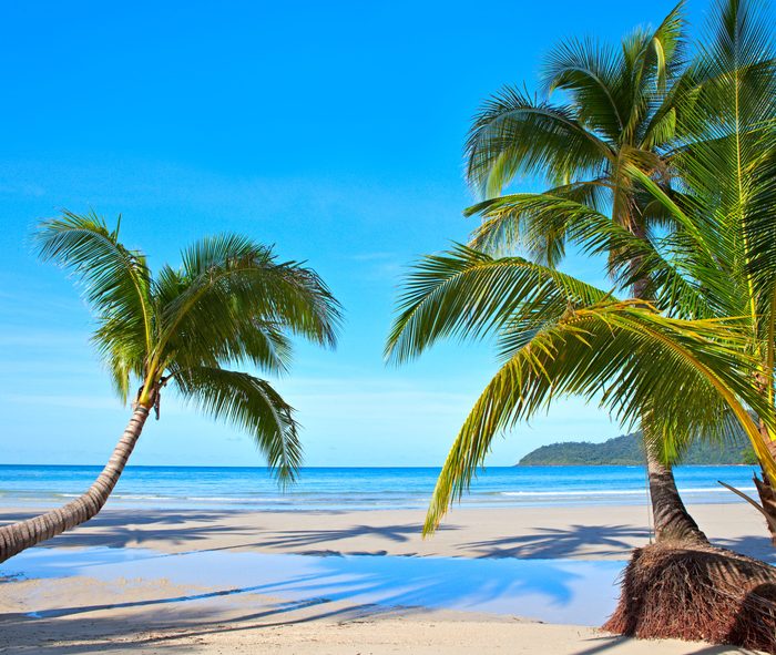 beautiful tropical scene