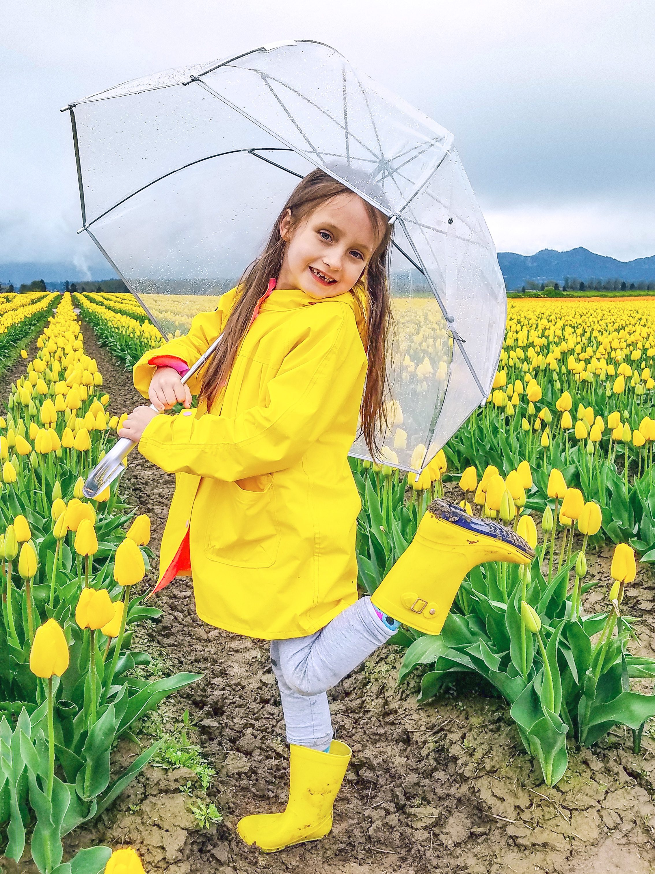Child holds clear umbrella, wearing a yellow raincoat and boots, standing joyfully in a vibrant yellow tulip field under a cloudy sky.
