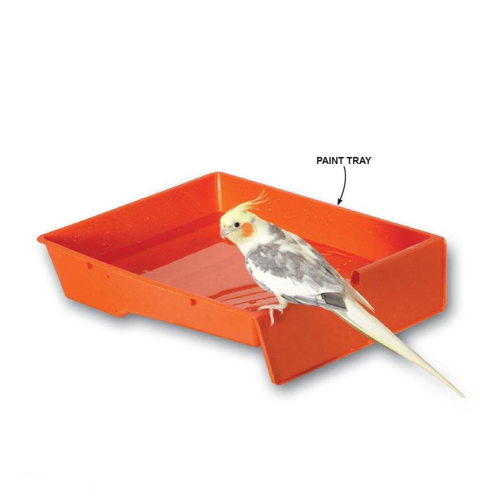 paint tray bird water