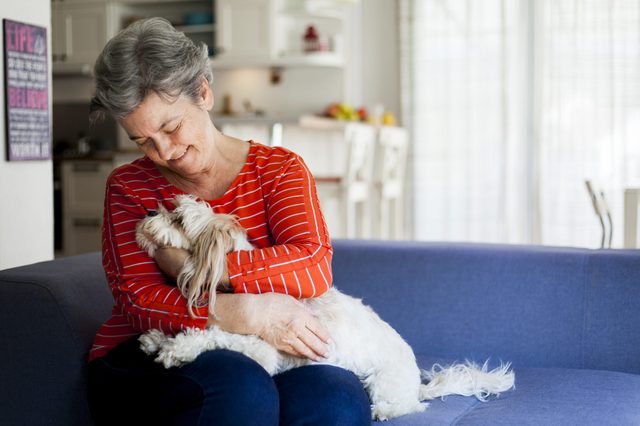 Woman cuddling a small dog on a blue couch in a bright, cozy living room.