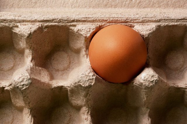 A single brown egg rests in a textured, cardboard egg carton with empty slots surrounding it.