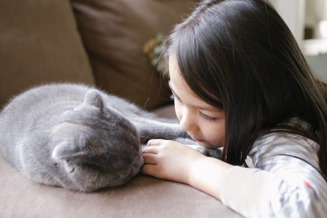 Child resting on a couch gently touches a sleeping gray cat, creating a peaceful and cozy scene.