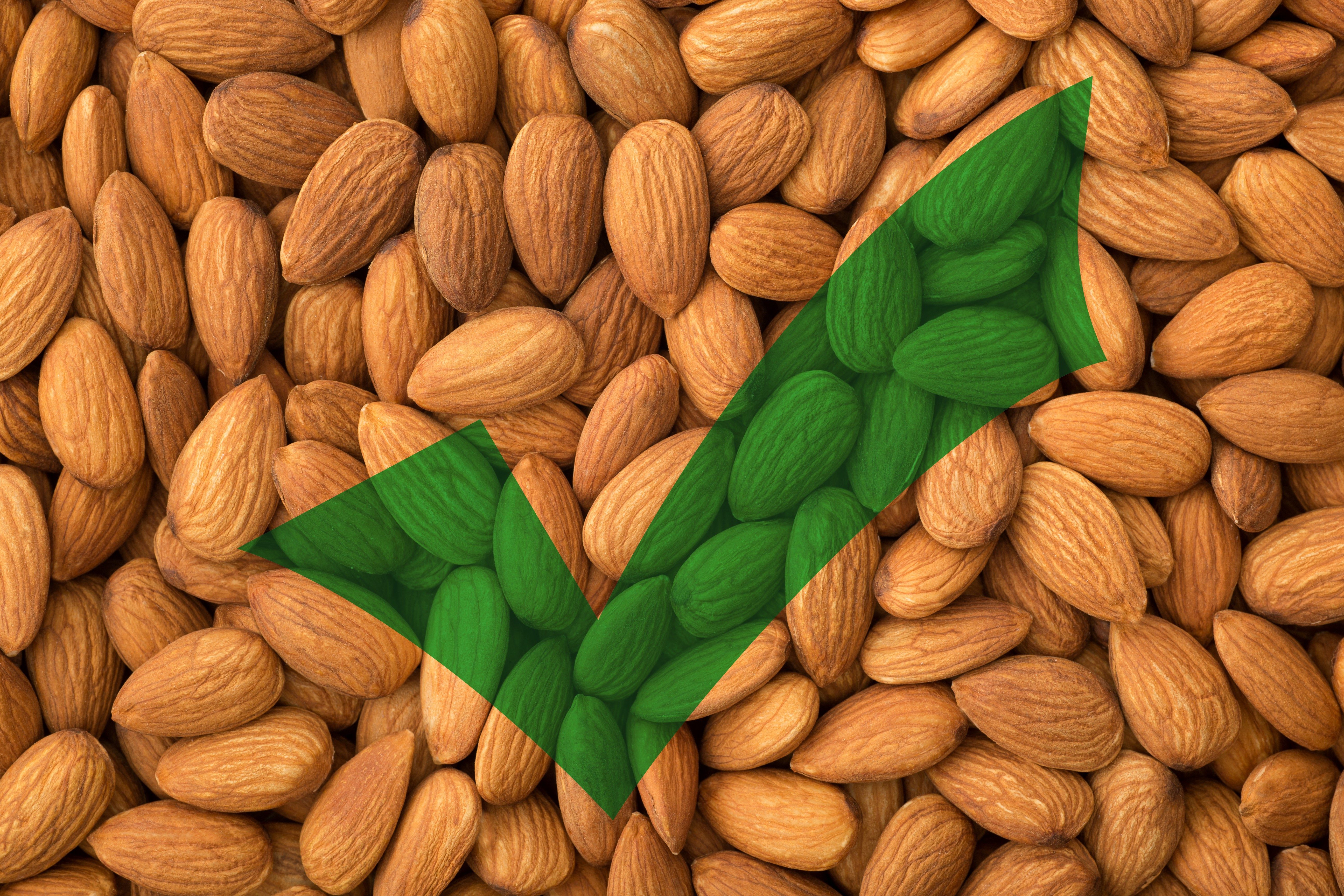 Almonds resting in a pile are overlaid with a green checkmark, emphasizing selection or approval in a close-up view.
