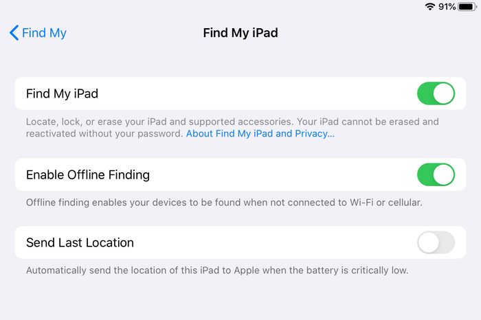 ipad screenshot Find My settings