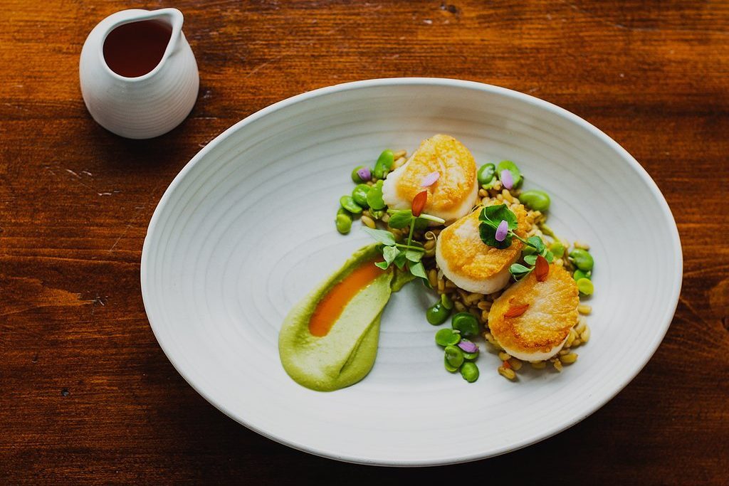 Scallops