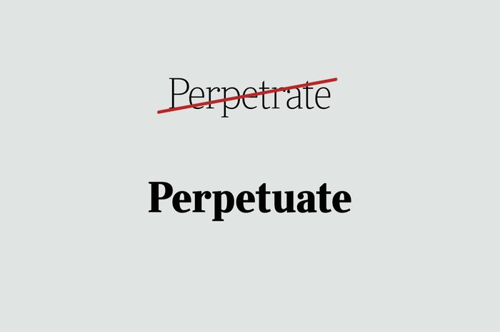 phrases you're using wrong perpetuate