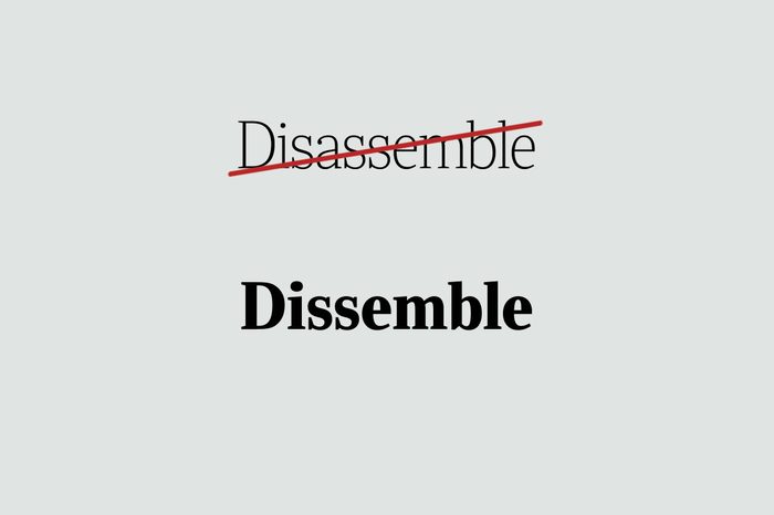 phrases you're using wrong dissemble