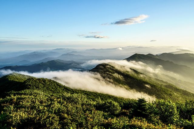 Mountains are shrouded in mist, with lush greenery in the foreground, under a clear blue sky during daylight.