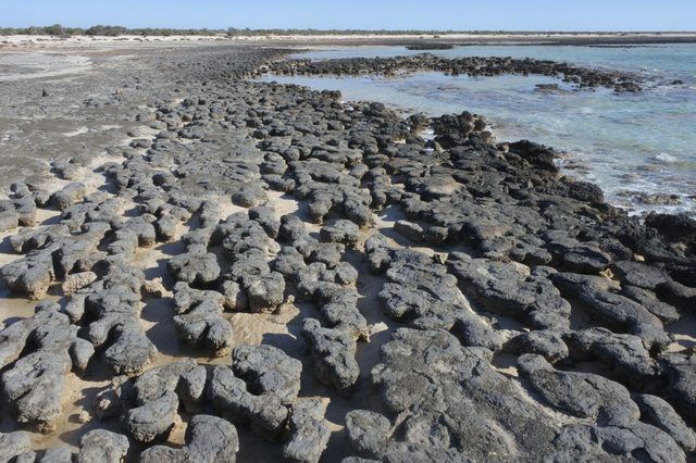 Rock formations rest along a sandy shore with blue ocean water and sparse vegetation visible in the background.