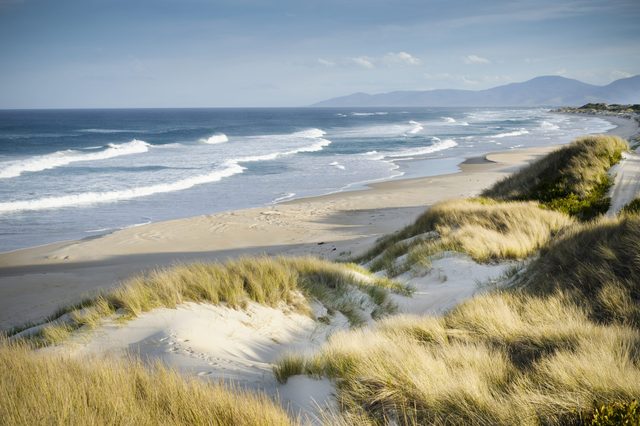 Sand dunes, covered in grass, overlook a beach with rolling waves under a clear sky, mountains visible in the background.