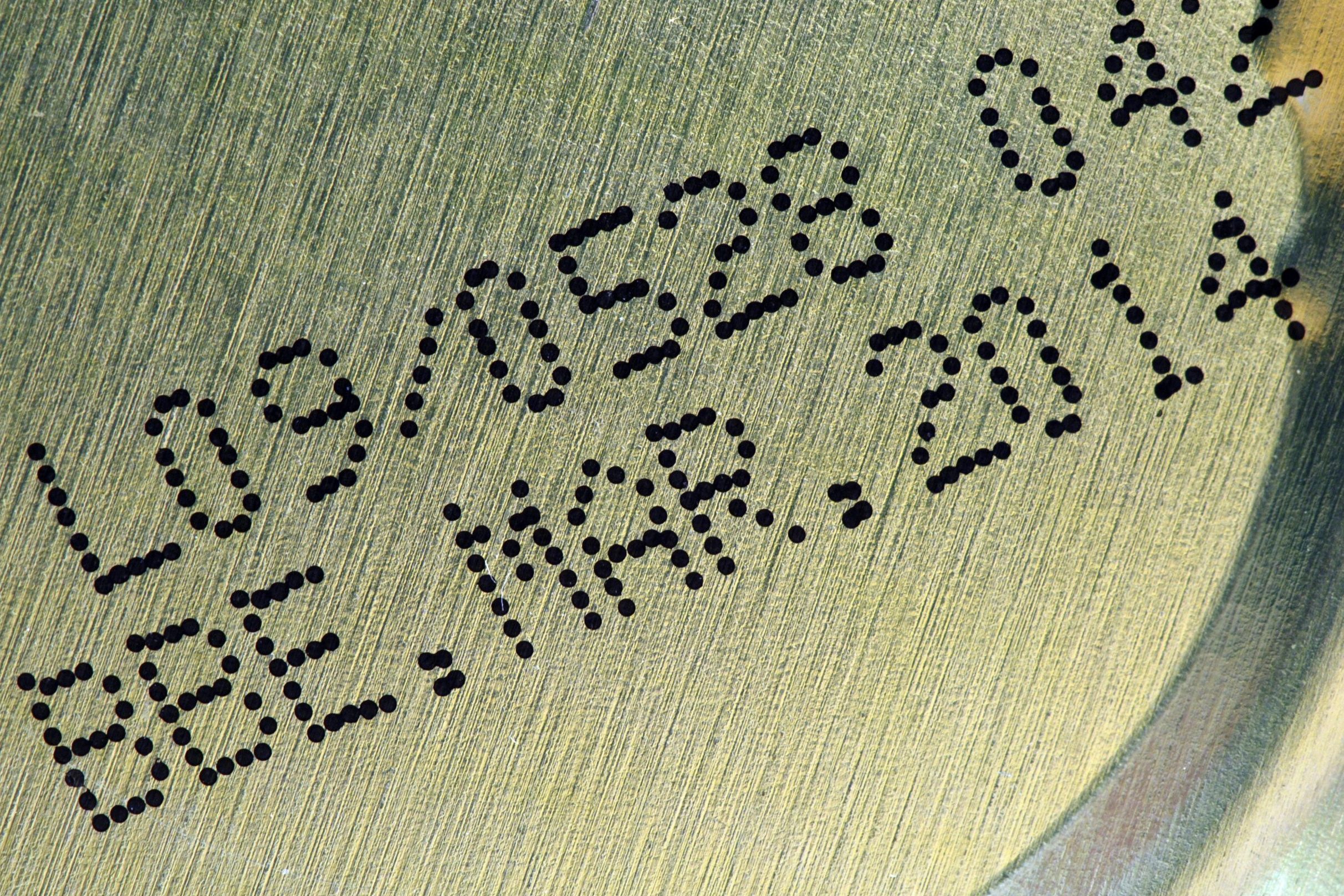 Best before date macro