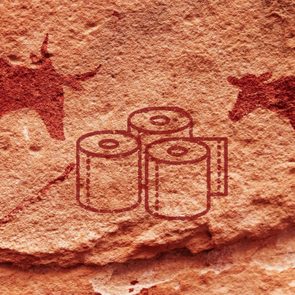 Toilet paper rolls sit between two painted animal figures on a textured, reddish rock surface resembling ancient cave art.