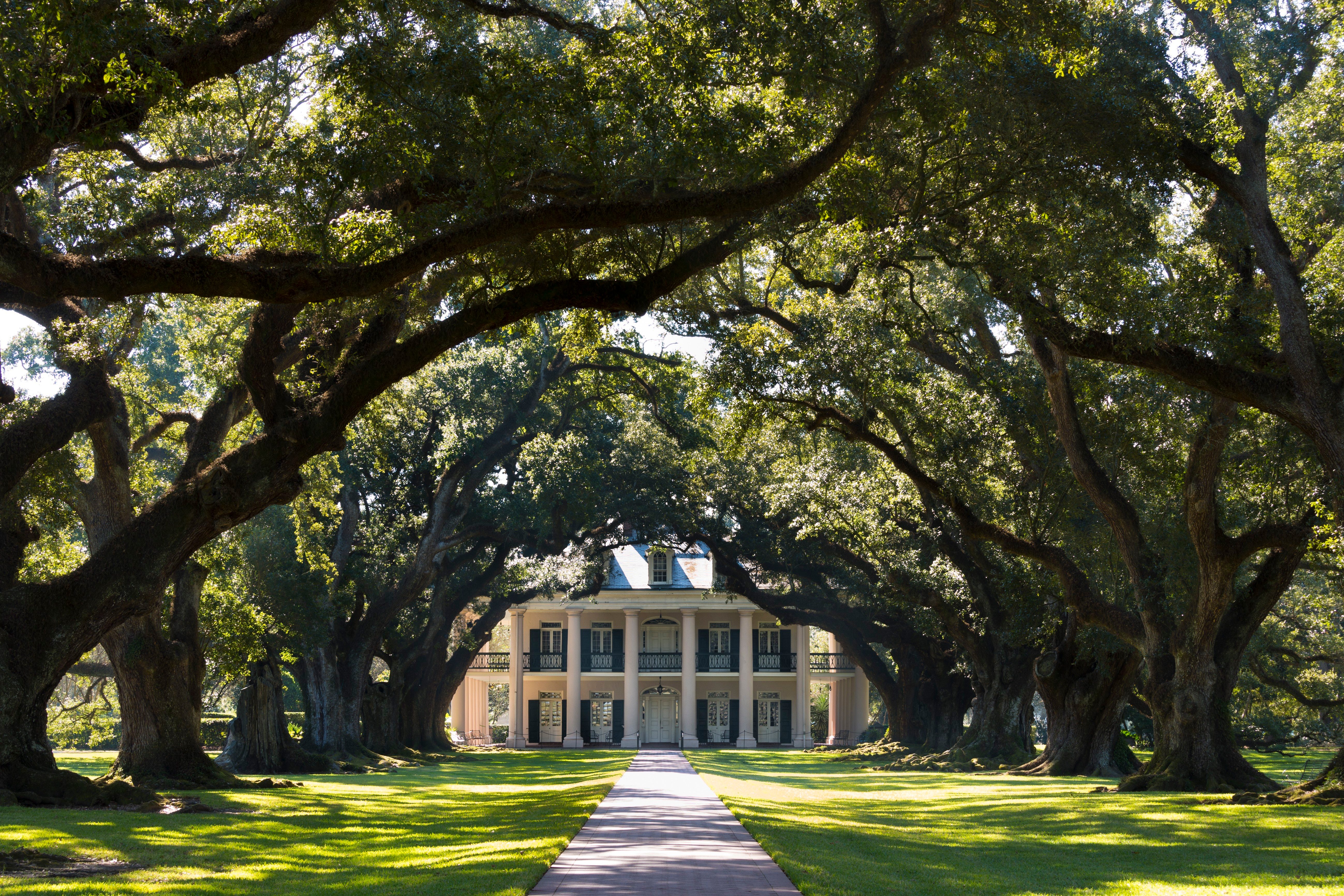 A mansion stands beyond a pathway, flanked by large, arching oak trees forming a canopy over lush green lawns.