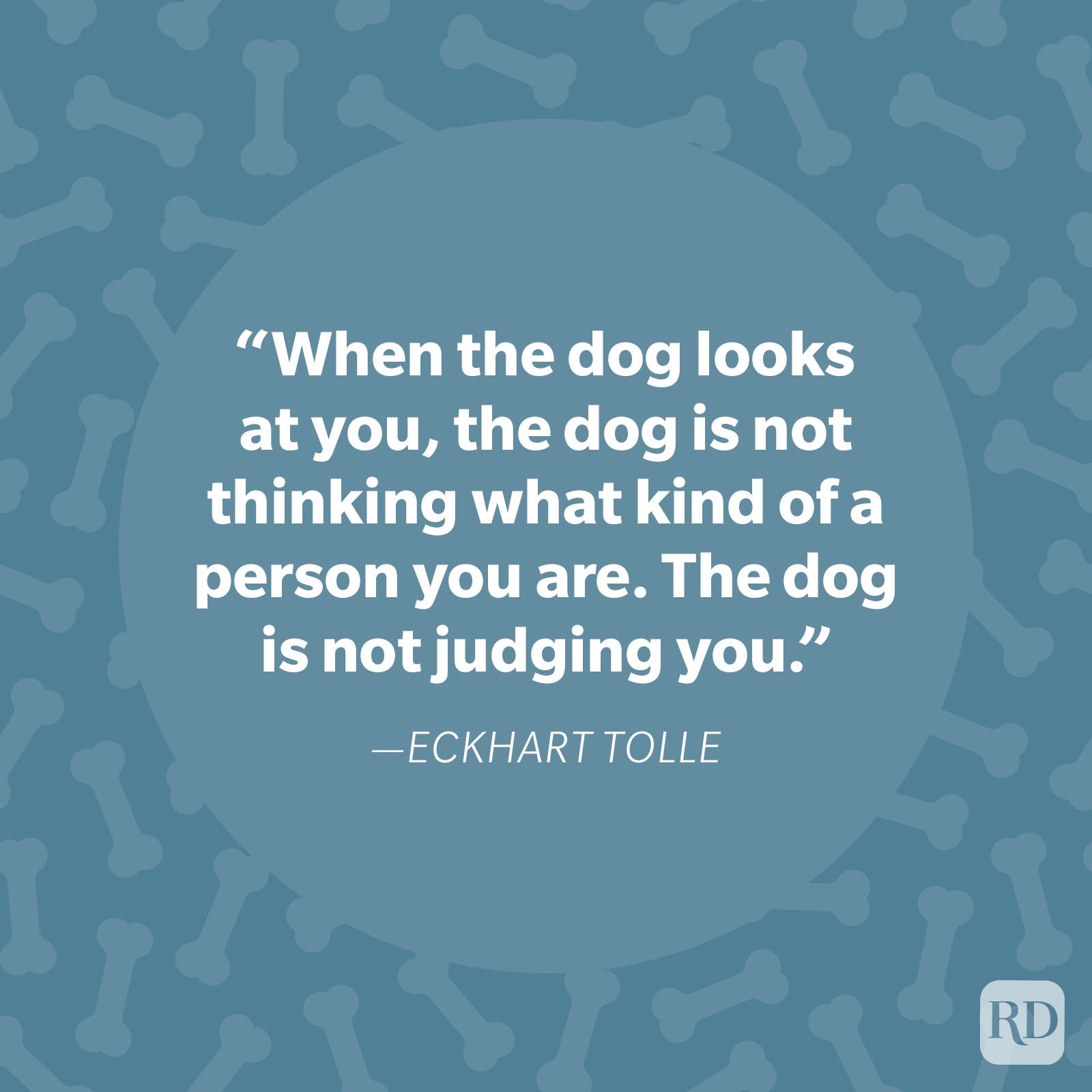 Text displays a quote by Eckhart Tolle about dogs not judging people, set against a pattern of dog bones on a blue background.