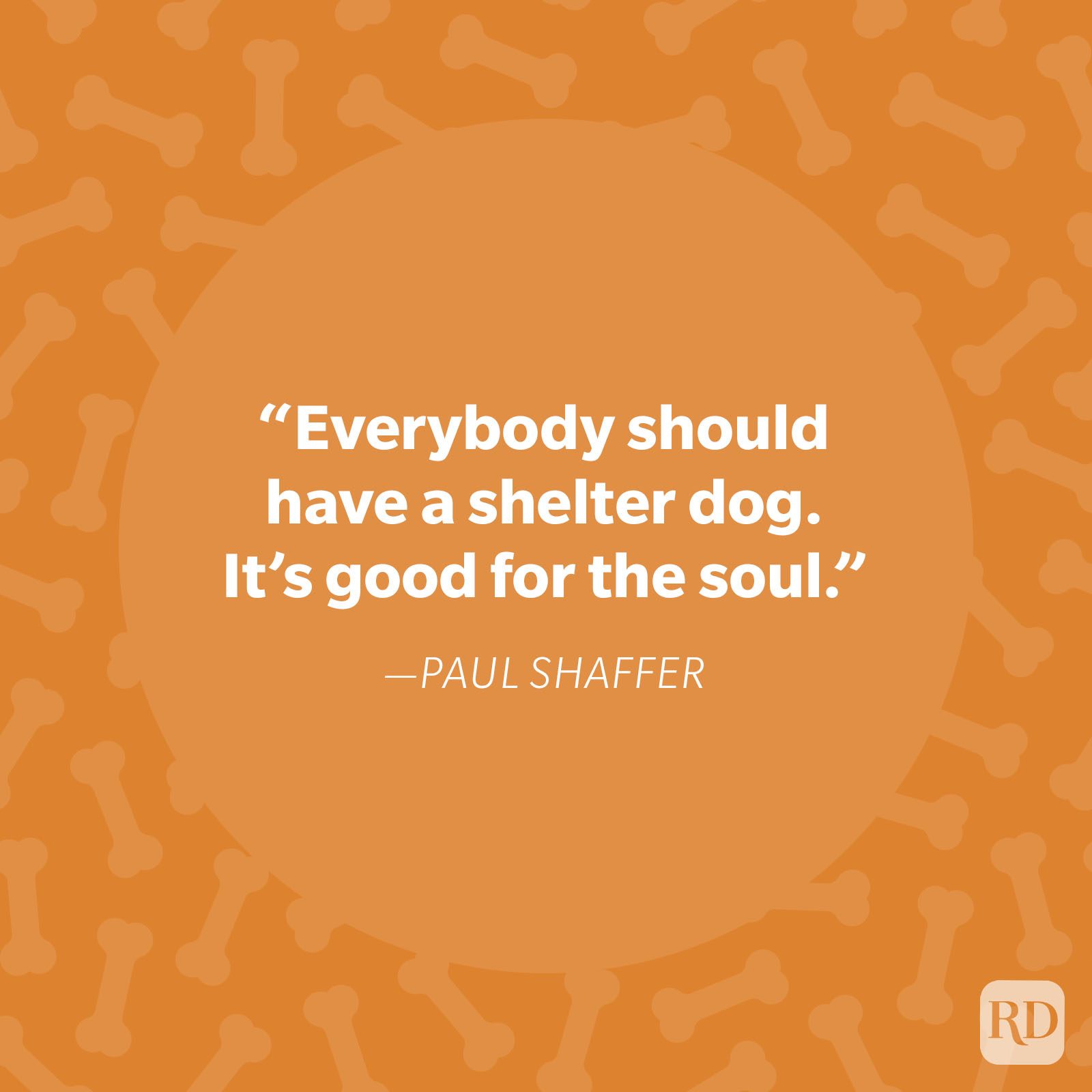 Quote promotes shelter dogs, emphasizes soul benefit; featured in white text on orange, bone-patterned background. Author: Paul Shaffer.