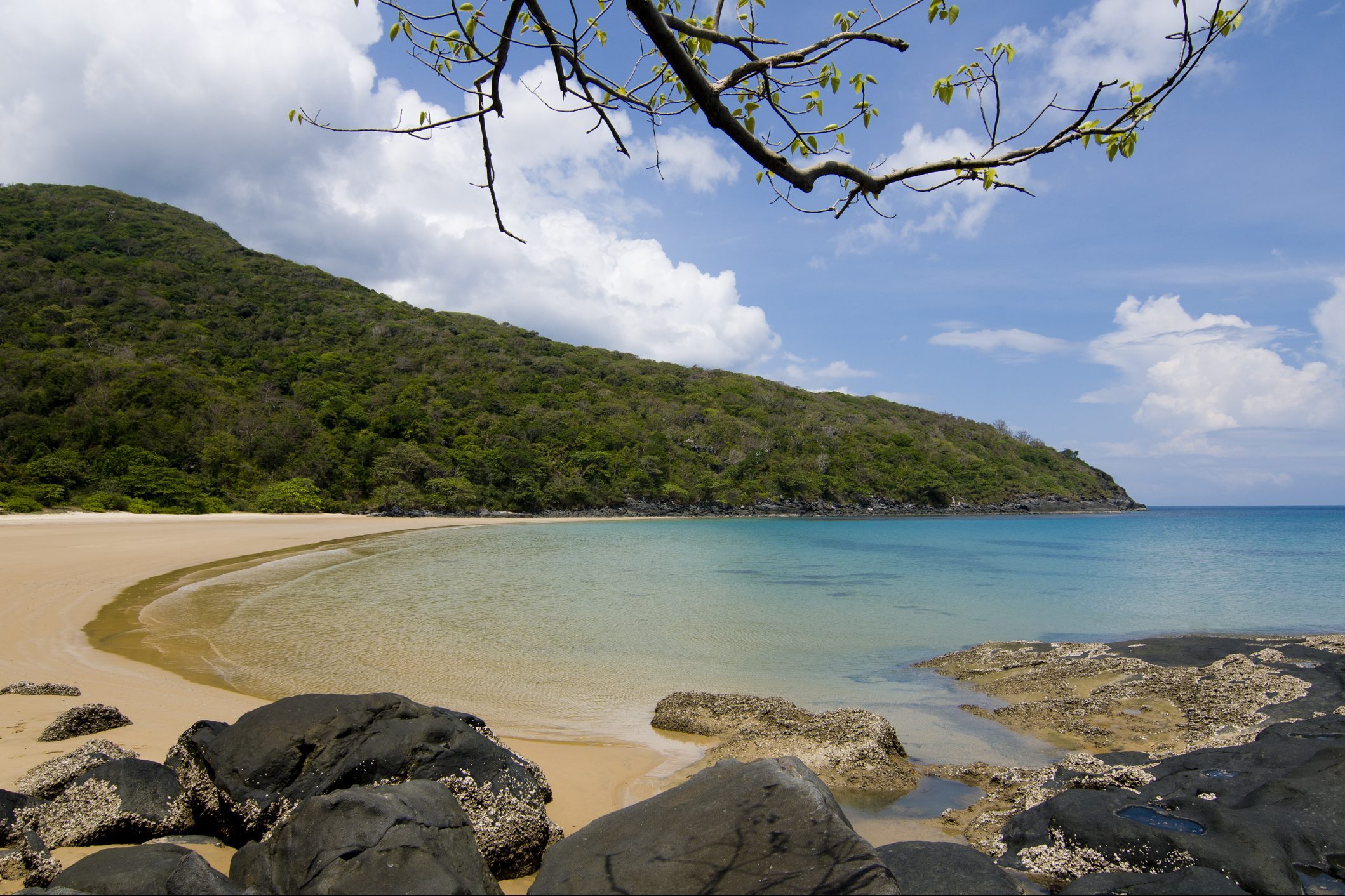 Beach sits quietly with waves gently lapping, bordered by rocky outcrops and dense forest, under a bright blue sky with clouds.