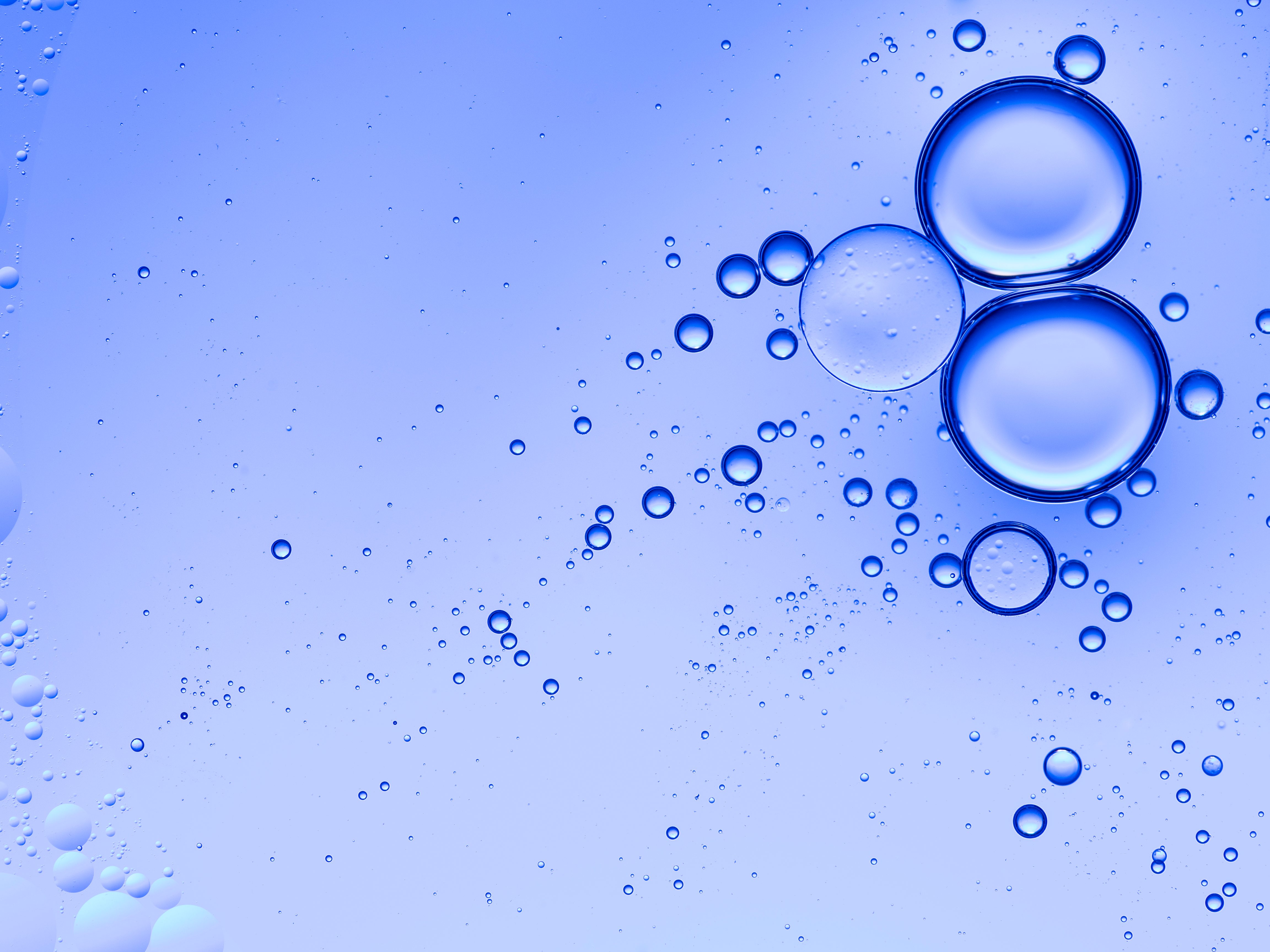 Bubbles float and cluster in a clear liquid, set against a light blue background.