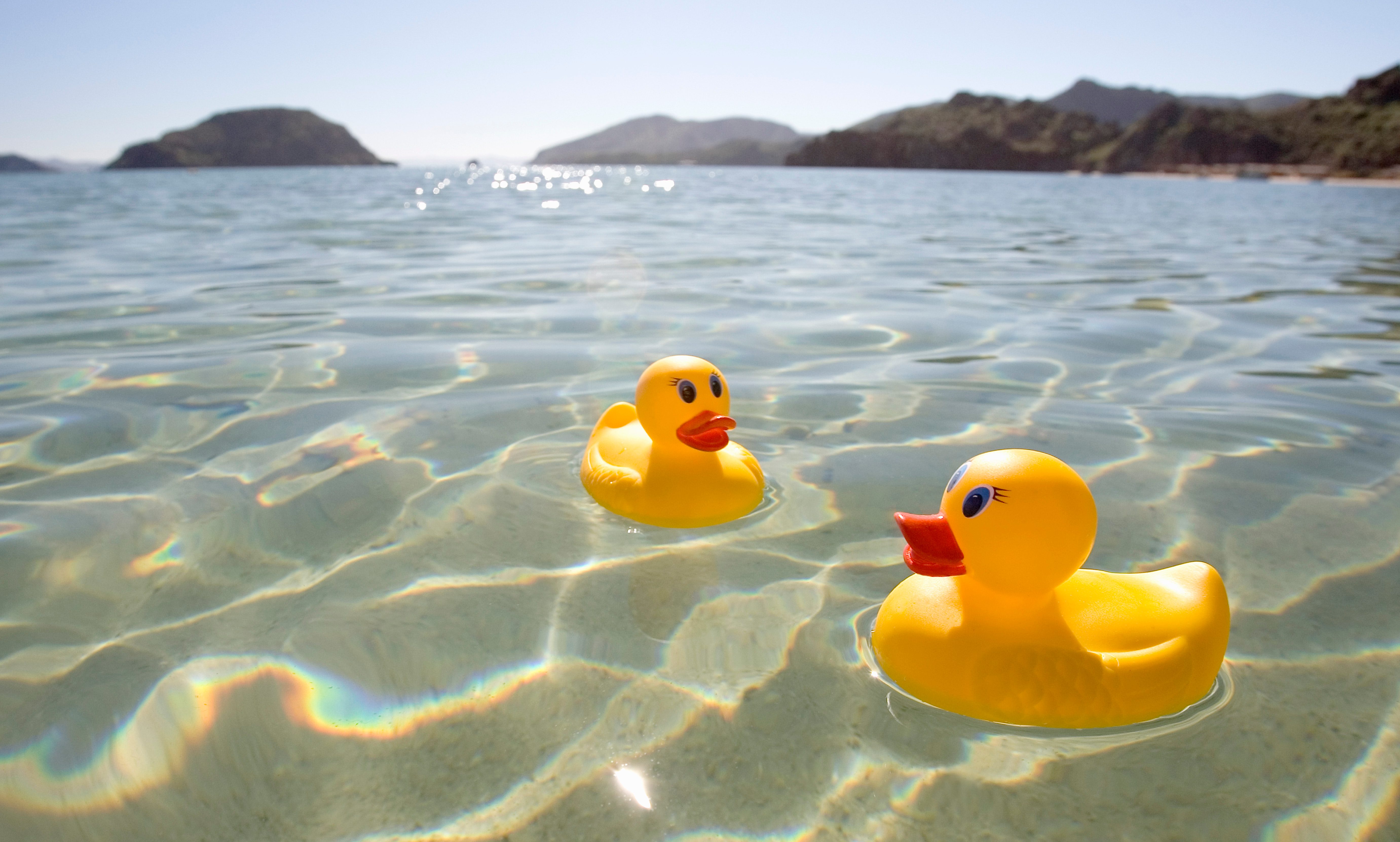 Rubber ducks float serenely in clear, sunlit water with distant mountains in the background.