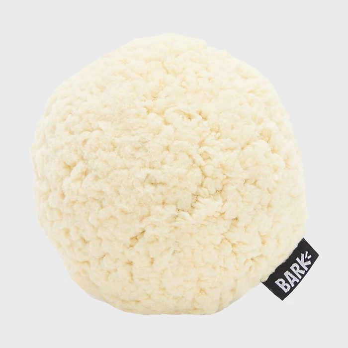 Fluffy cream-colored ball rests solo, tag reading 