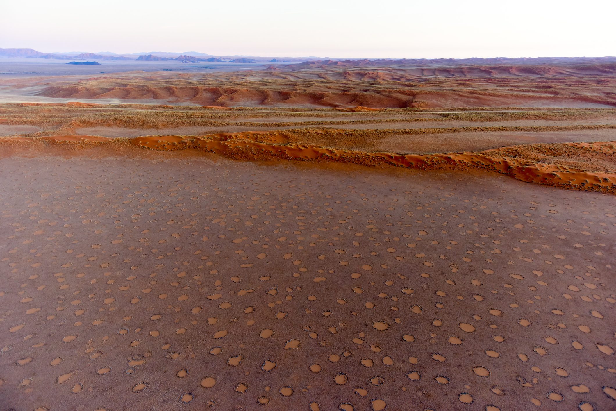 Namib Sand Sea - Namibia