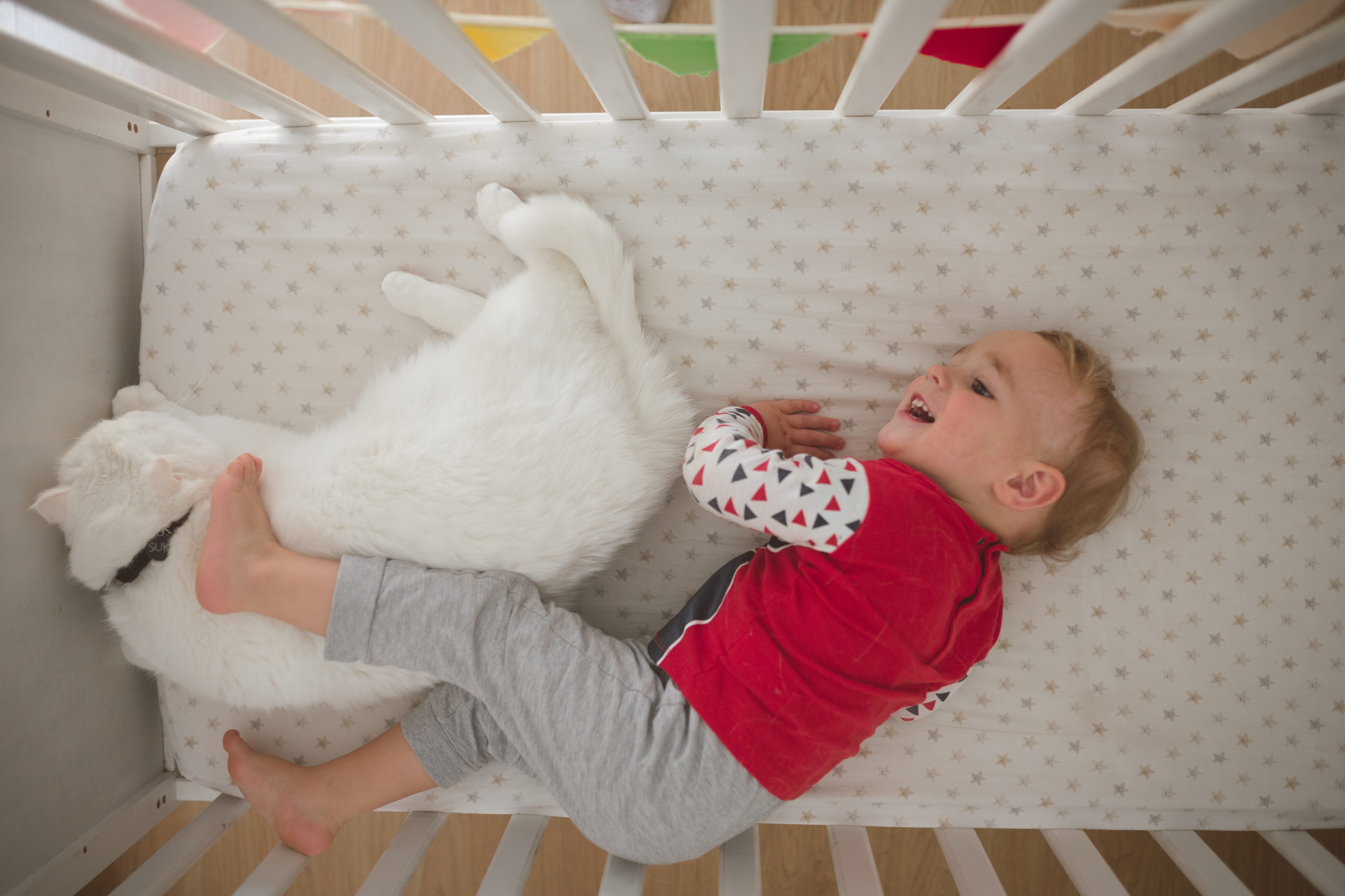 Child lies next to a white cat, both on a crib mattress with star-patterned sheets, inside a wooden crib.