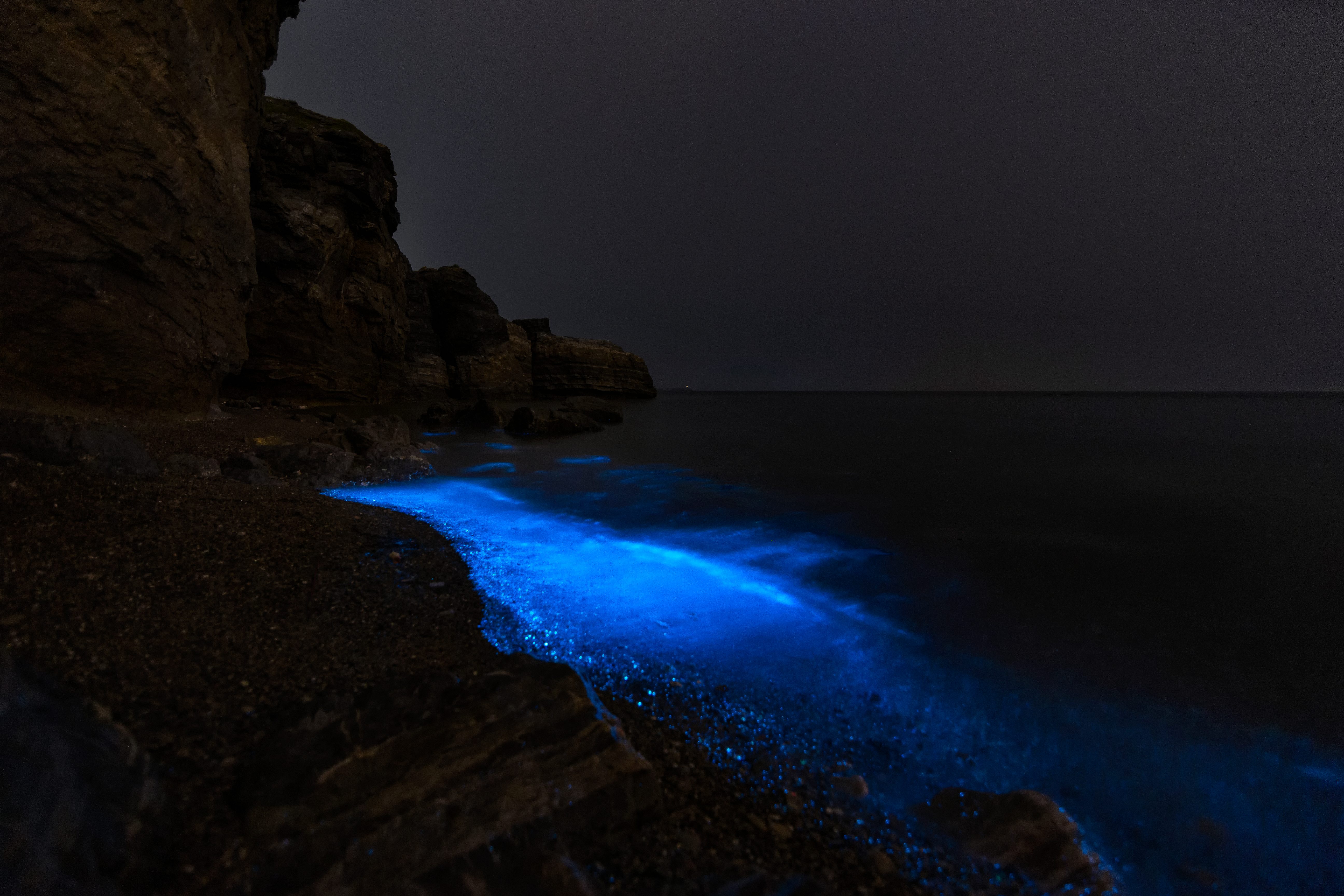 Bioluminescent waves glow blue, illuminating the rocky shoreline under a dark night sky.