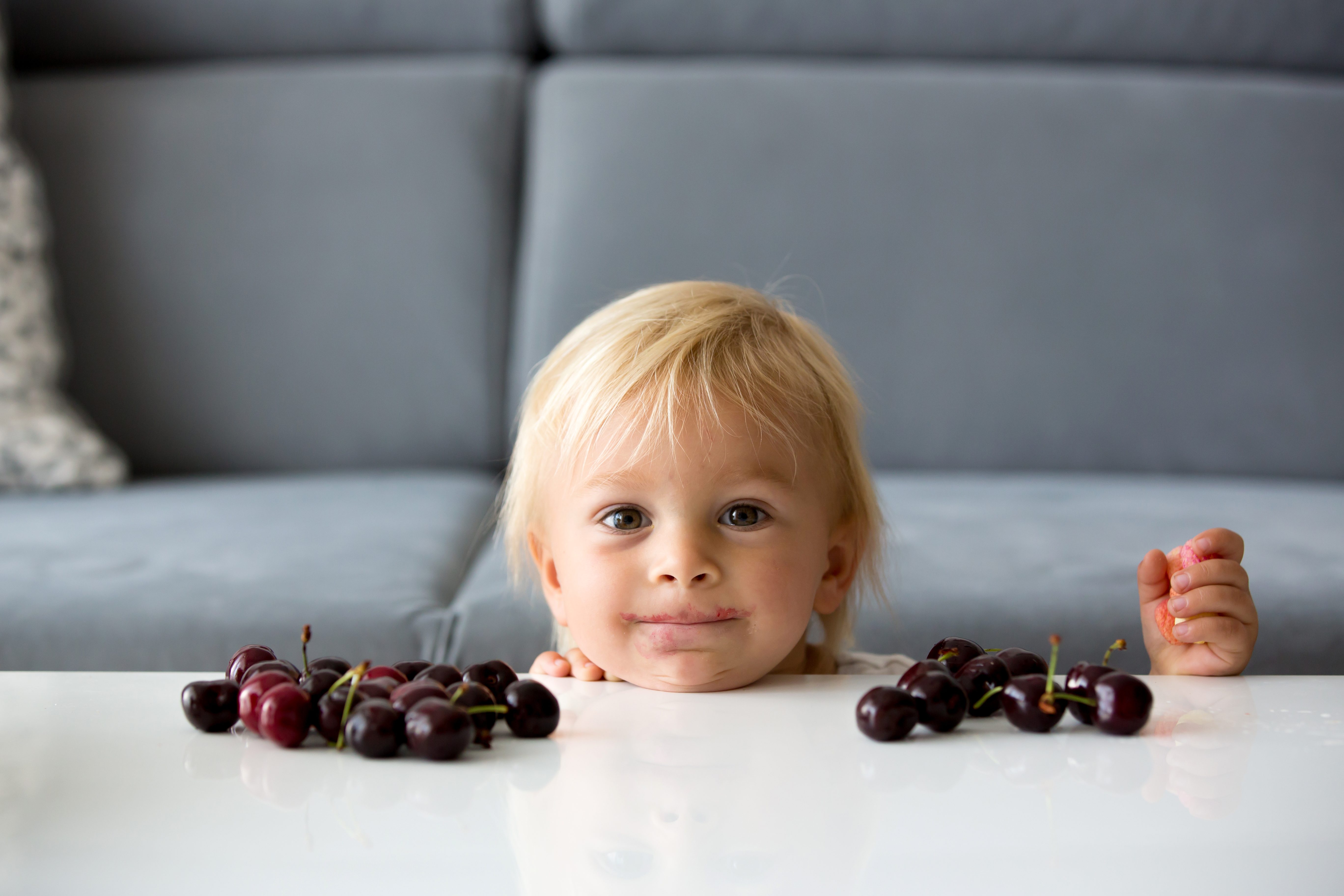 Child peeks over a white table, holding cherries with more cherries scattered, set against a gray couch.