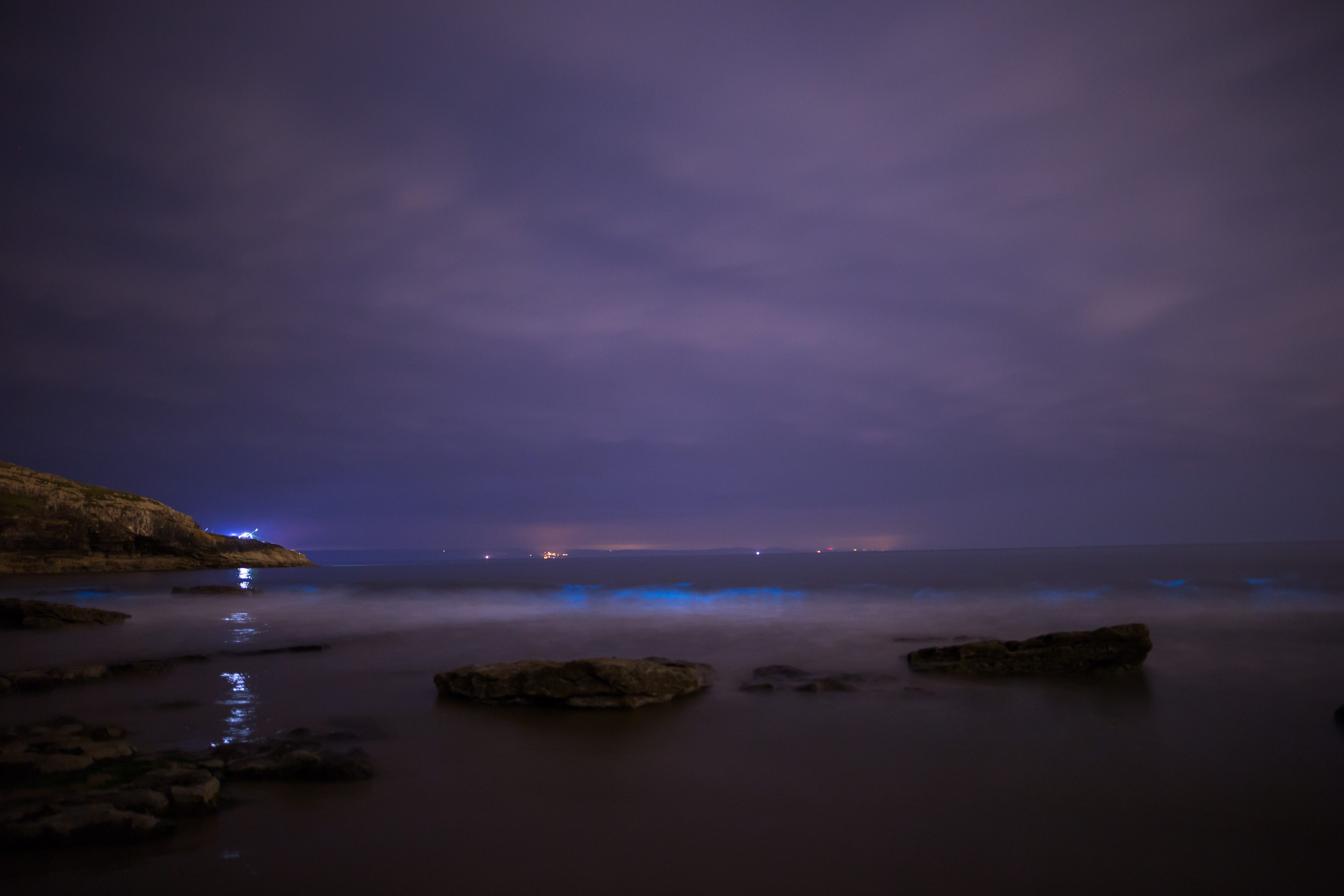 Rocks sit in calm, bioluminescent waves on a shoreline under a cloudy, nighttime sky with distant lights in the background.