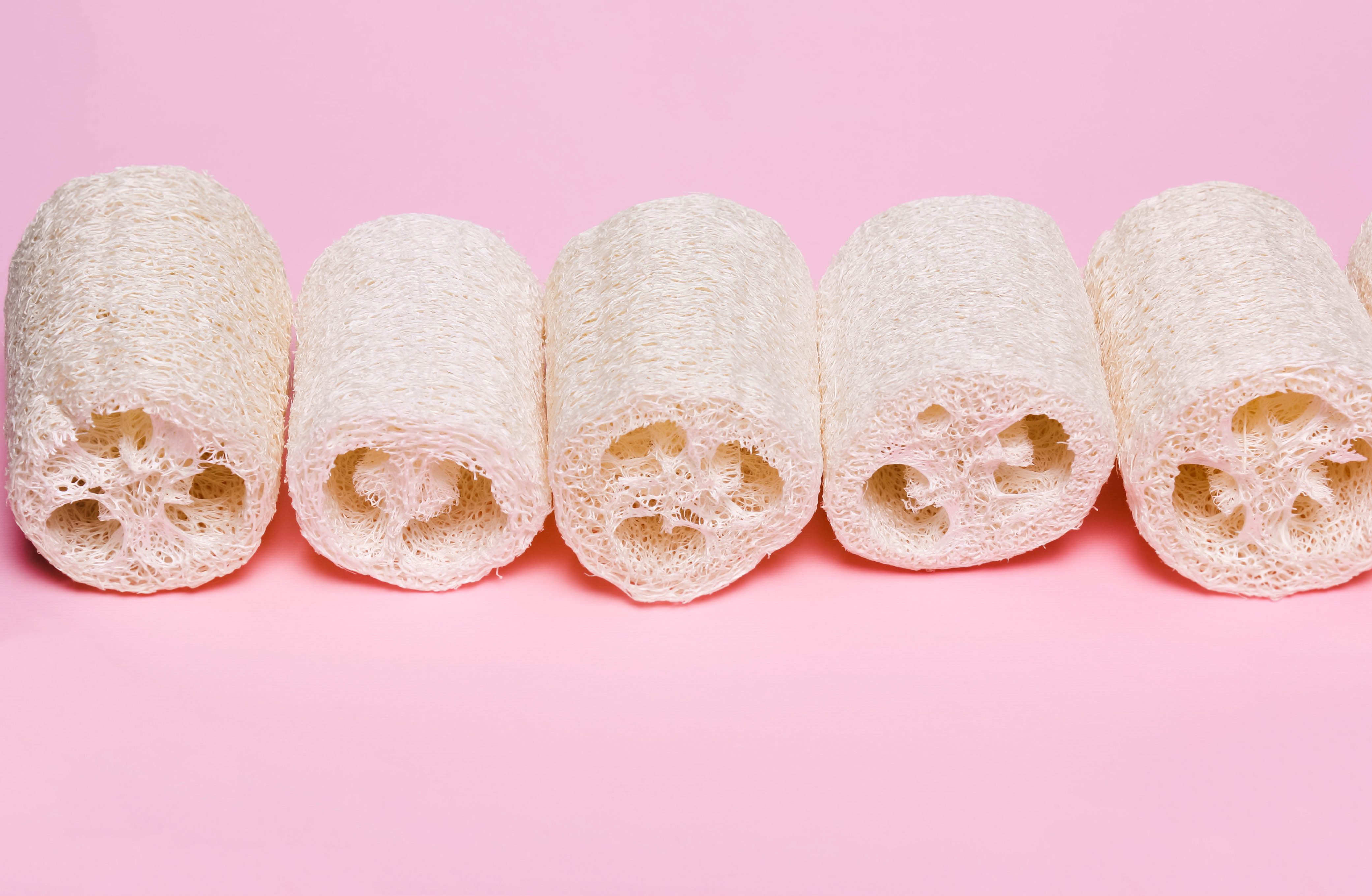 Loofah sponges are lined up horizontally on a pink background, showcasing their intricate fibrous texture and cylindrical shape.