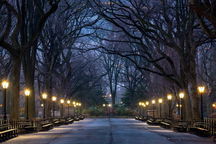 Blue Hour, The Mall, Central Park, New York City, New York, America