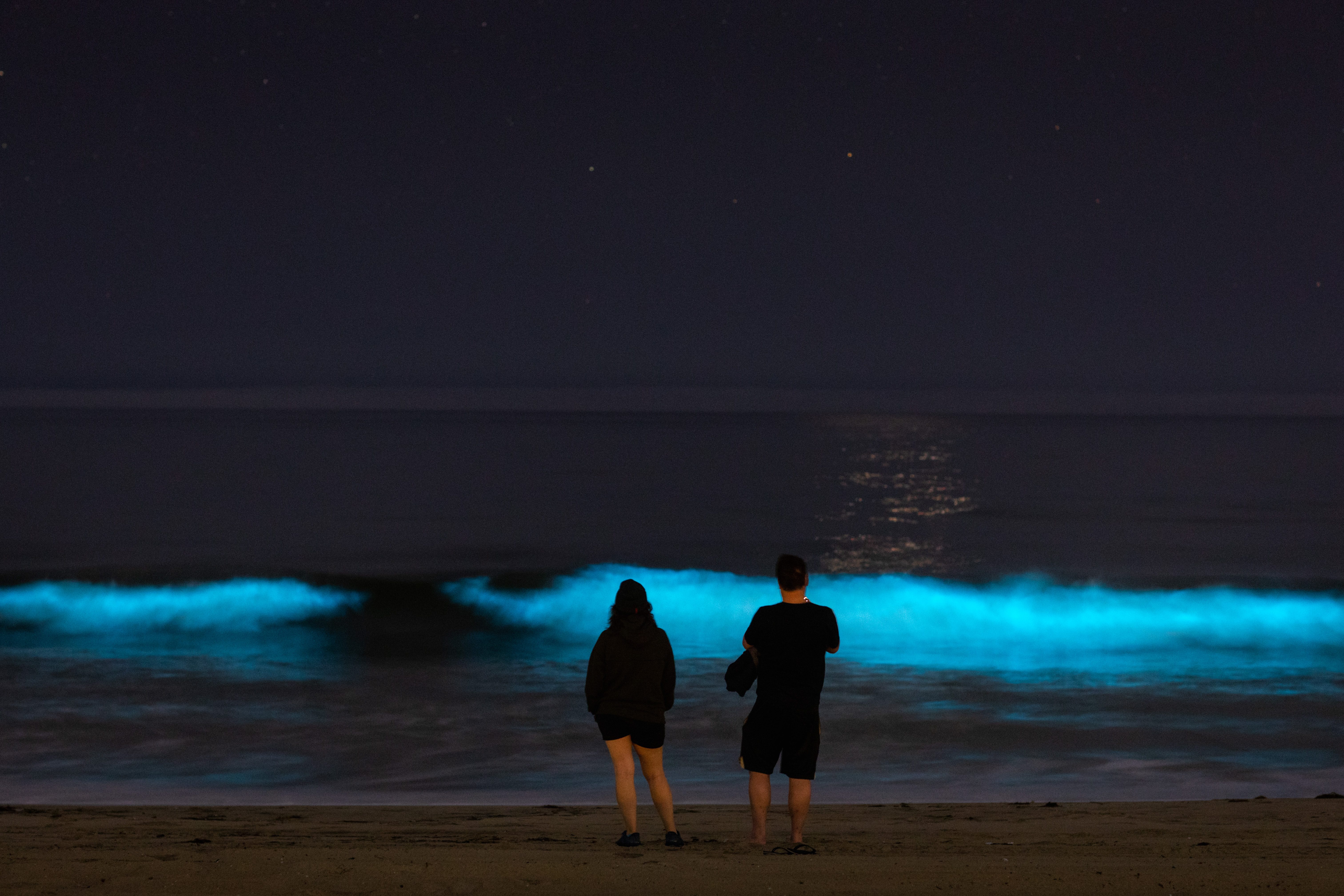 Two people stand observing glowing blue waves at night on a dark beach under a starry sky.