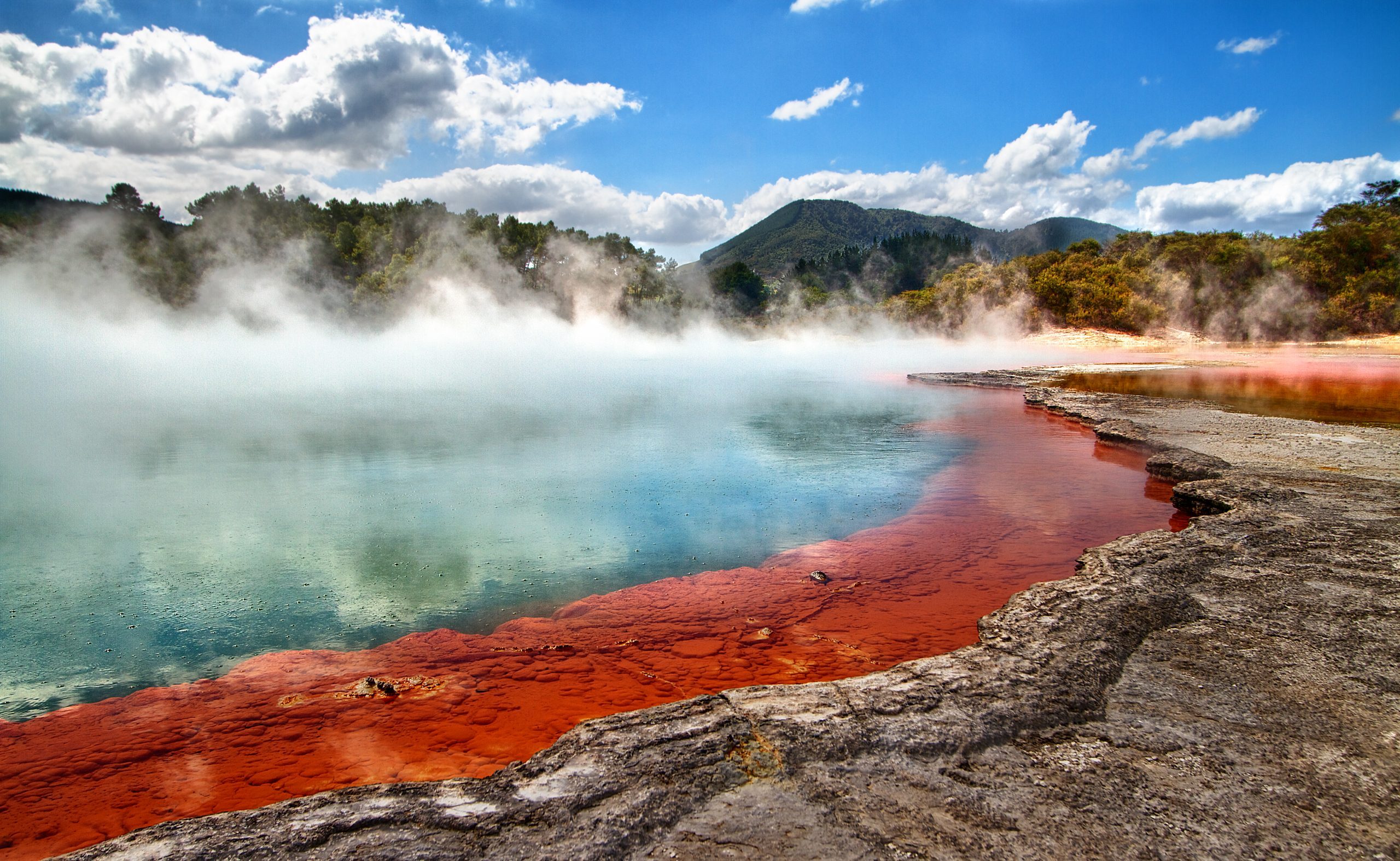 Steam rising off a geo-thermal pool