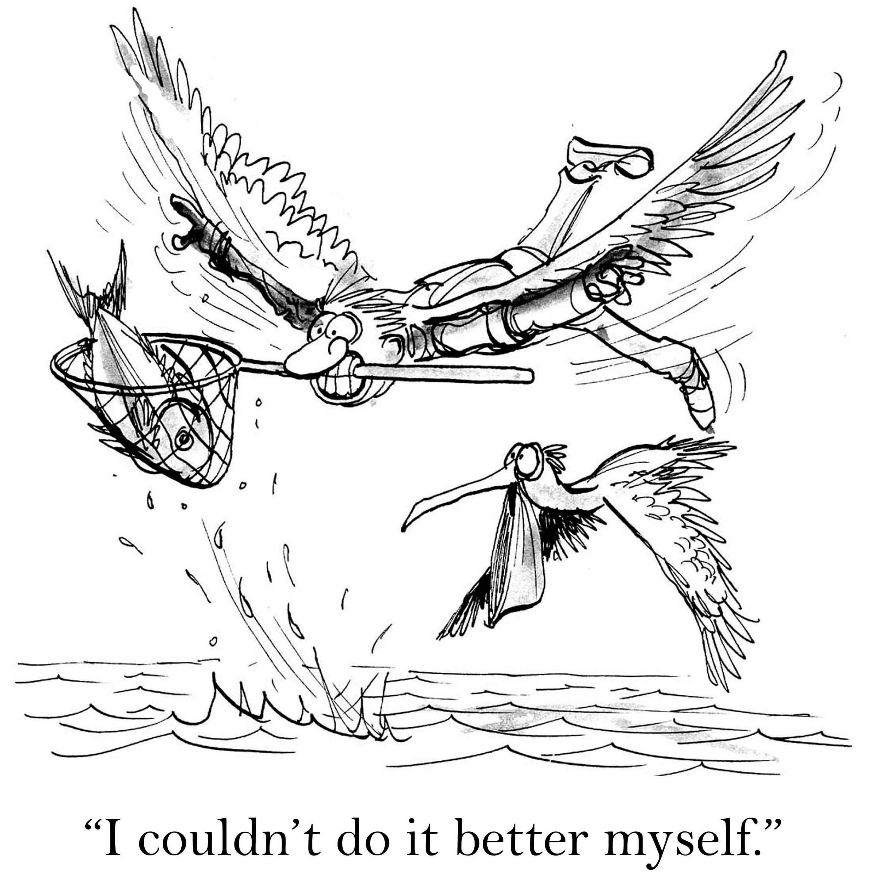 A bird catches a fish with a net while another bird watches over water, saying, "I couldnâ€™t do it better myself."
