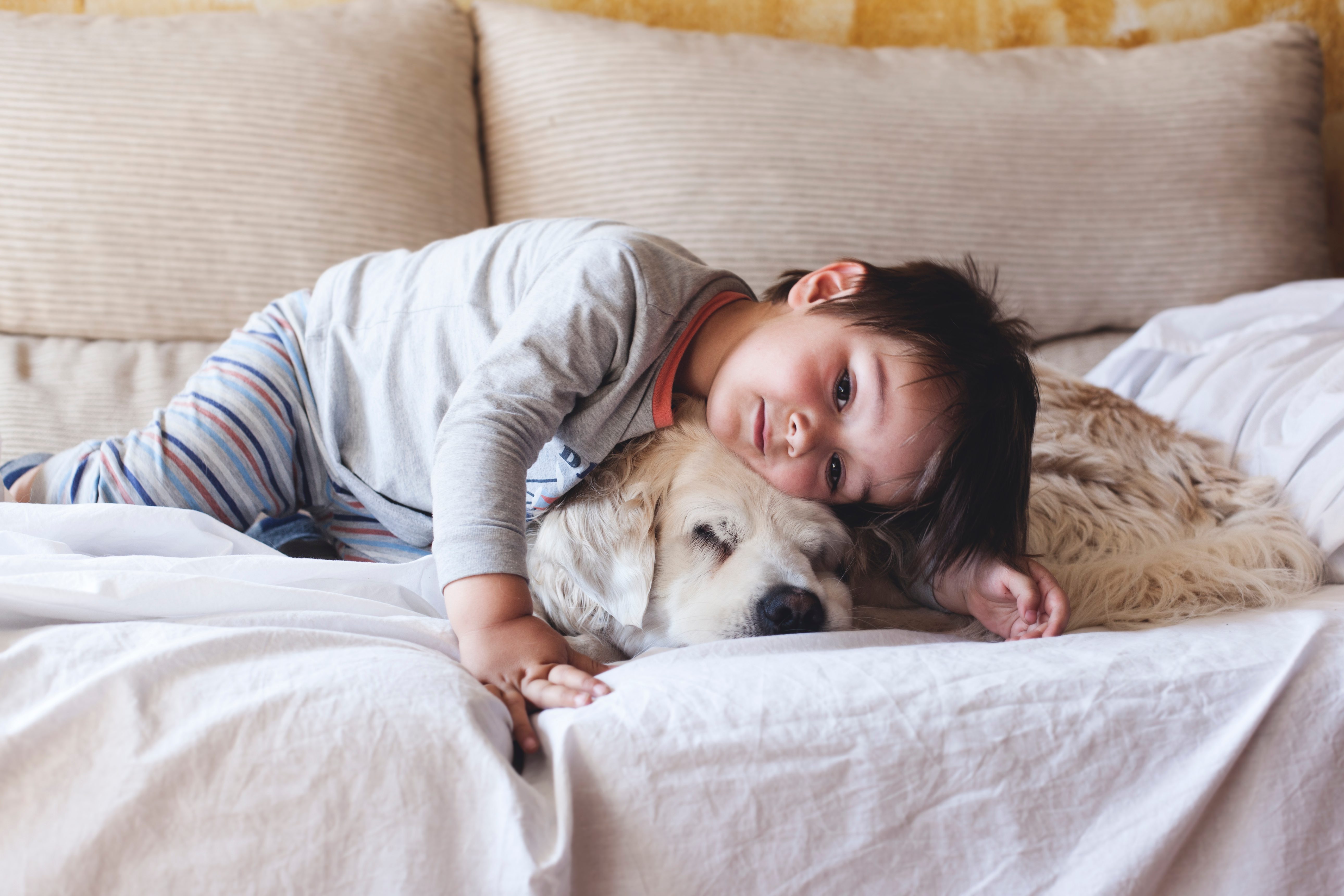Child cuddles sleeping dog on a cozy sofa, surrounded by soft pillows.