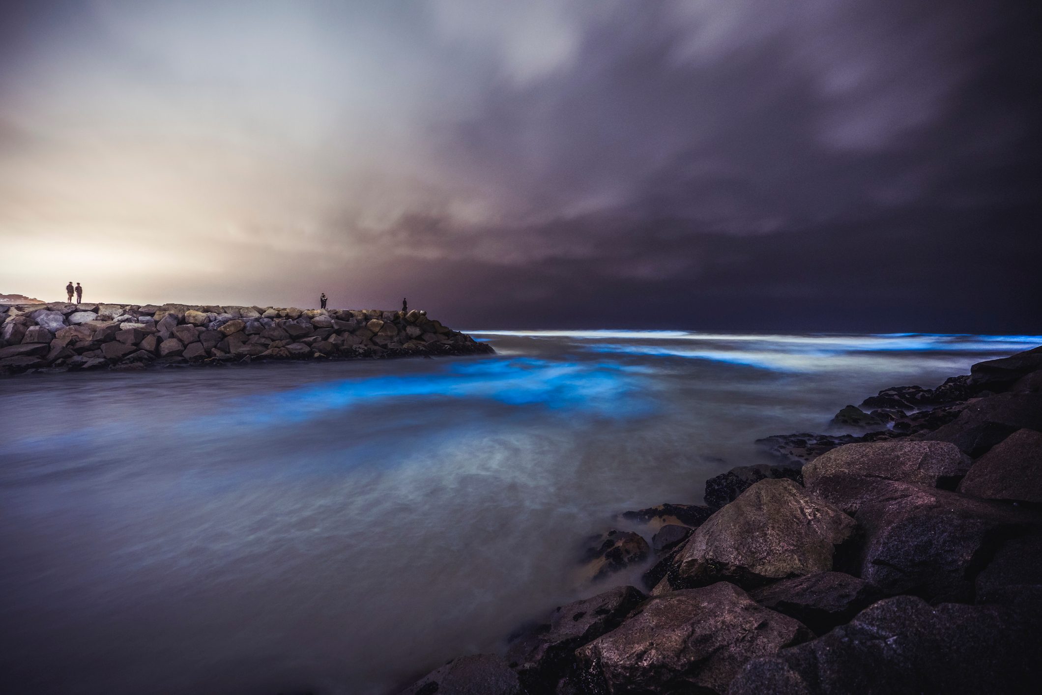 Waves glow blue at night, illuminating rocky shore where three figures stand, under a dramatic cloudy sky.