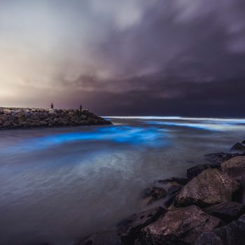 Waves glow blue at night, illuminating rocky shore where three figures stand, under a dramatic cloudy sky.