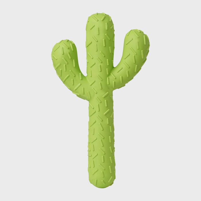 Green cactus-shaped dog toy stands upright, textured with small raised patterns, set against a plain white background.
