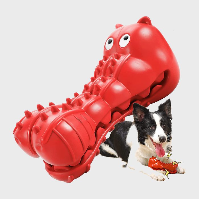 Red rubber dog toy lays stationary; a playful dog sits nearby with a smaller version of the toy, set against a plain background.
