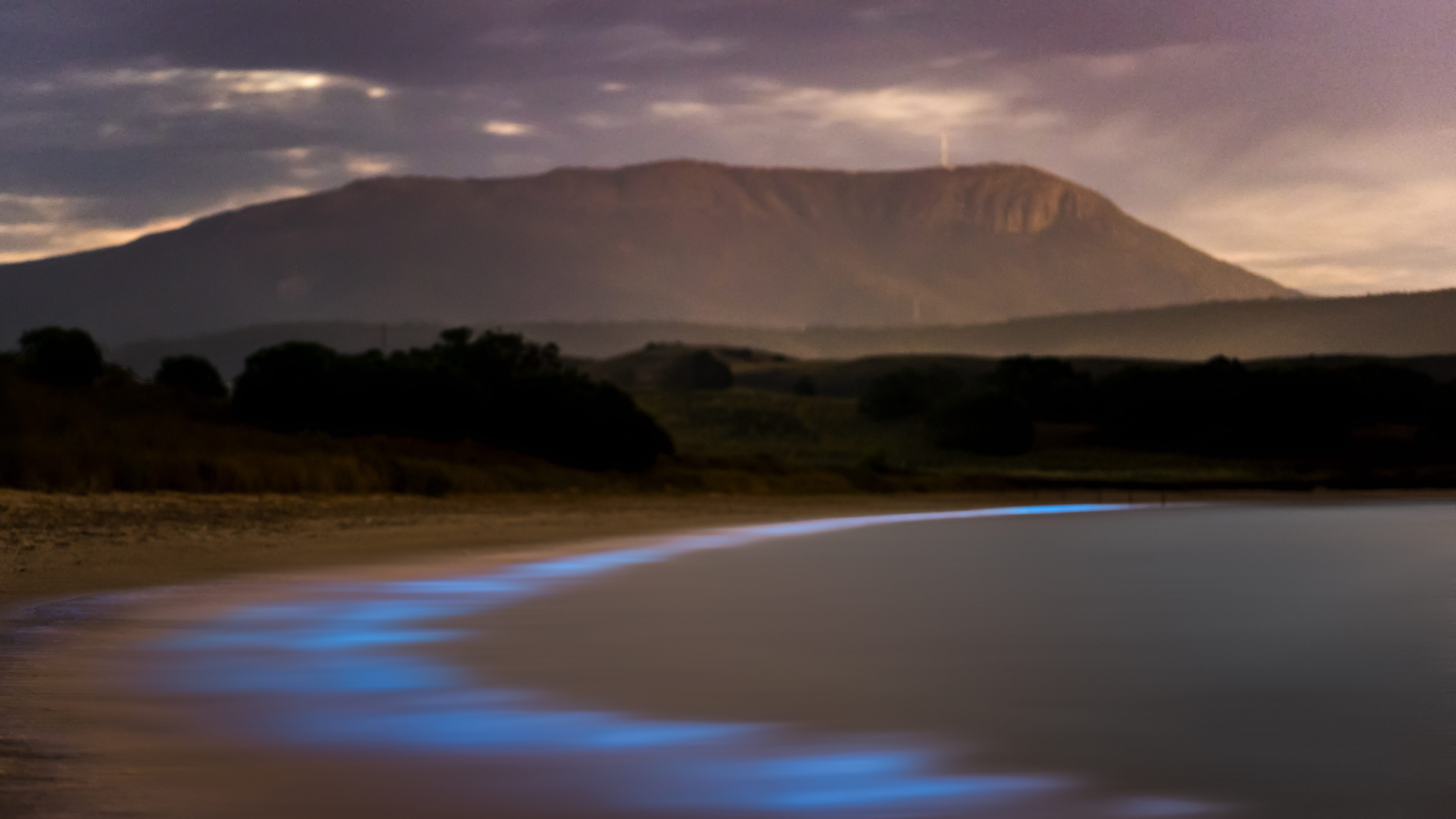 Bioluminescent waves glow on the shoreline, framed by a silhouetted mountain under a cloudy sky at dusk.