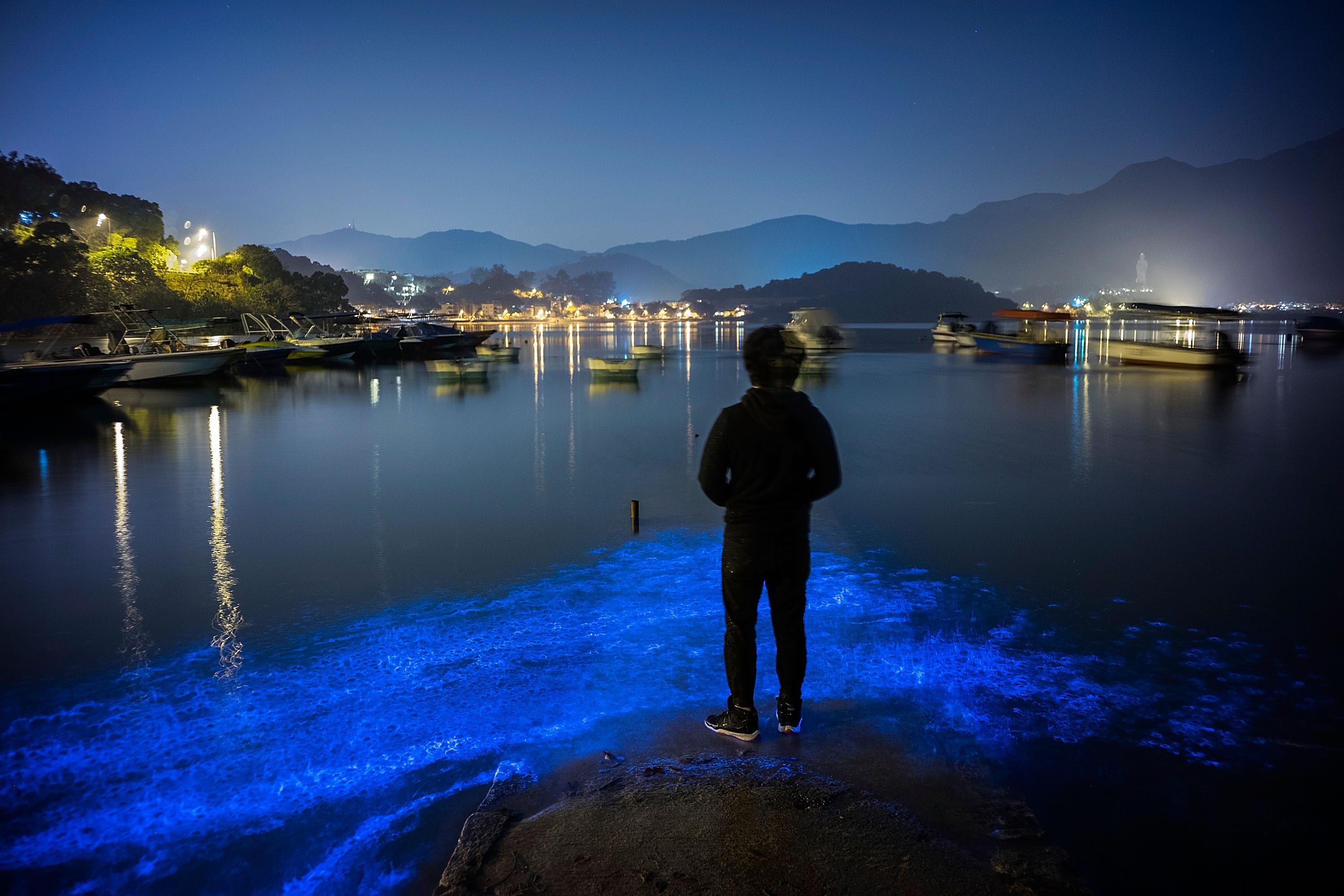 A person observes bioluminescent waves glowing brilliantly by the shore at night, with boats and distant hills in the background.