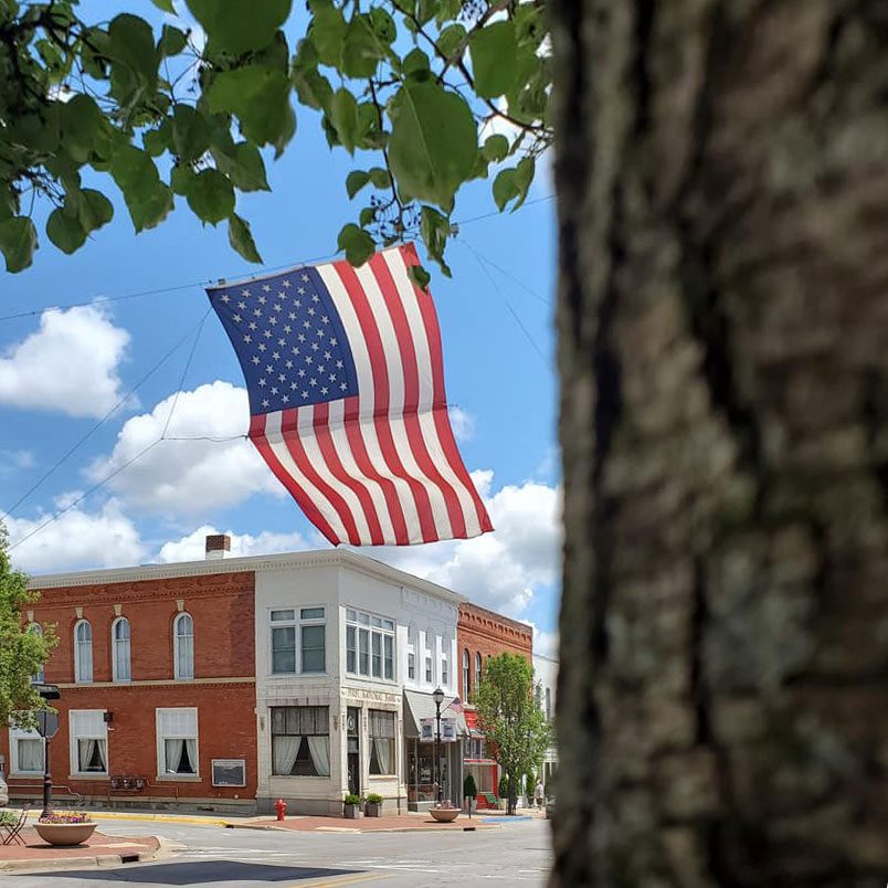 American flag suspended, waves gently above a red-brick building in a small town, viewed past a tree trunk and leafy branches, under a blue sky.