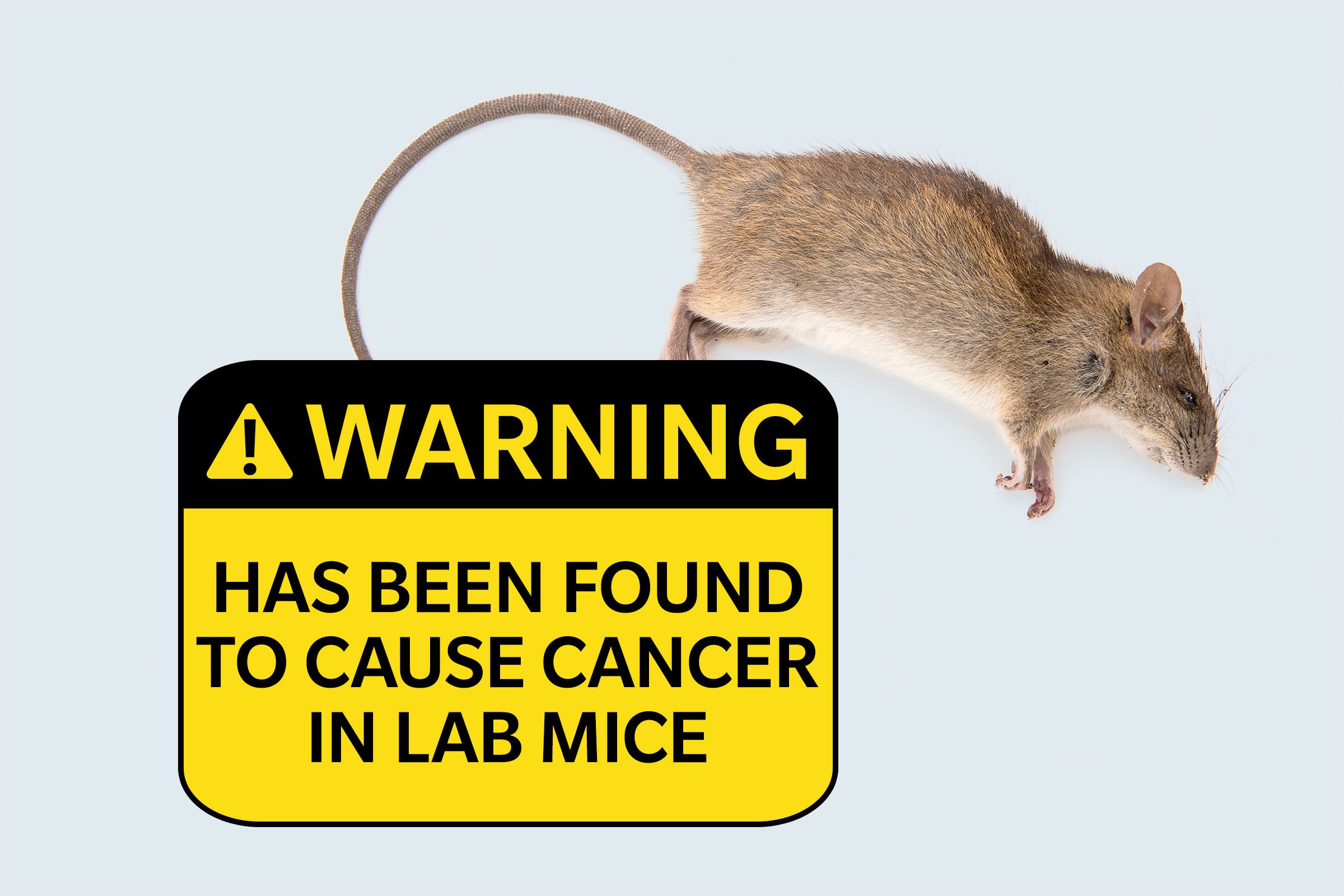 dead rat. warning: has been found to cause cancer in laboratory mice