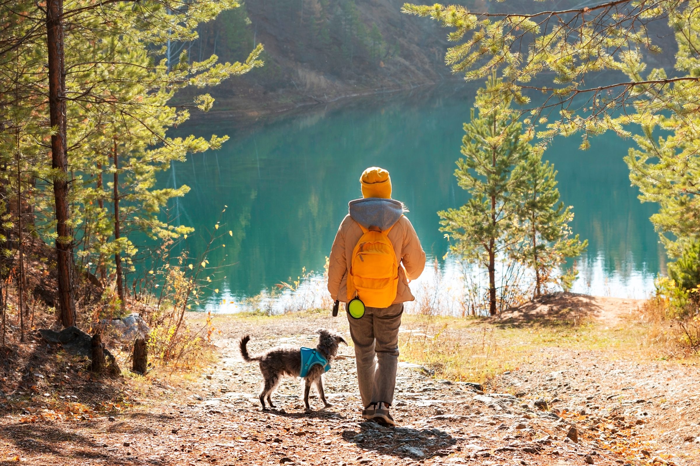 Person walks with a dog towards a tranquil lake, surrounded by trees in a forest setting.