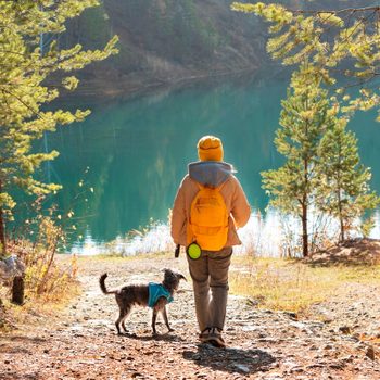 Person walks with a dog towards a tranquil lake, surrounded by trees in a forest setting.