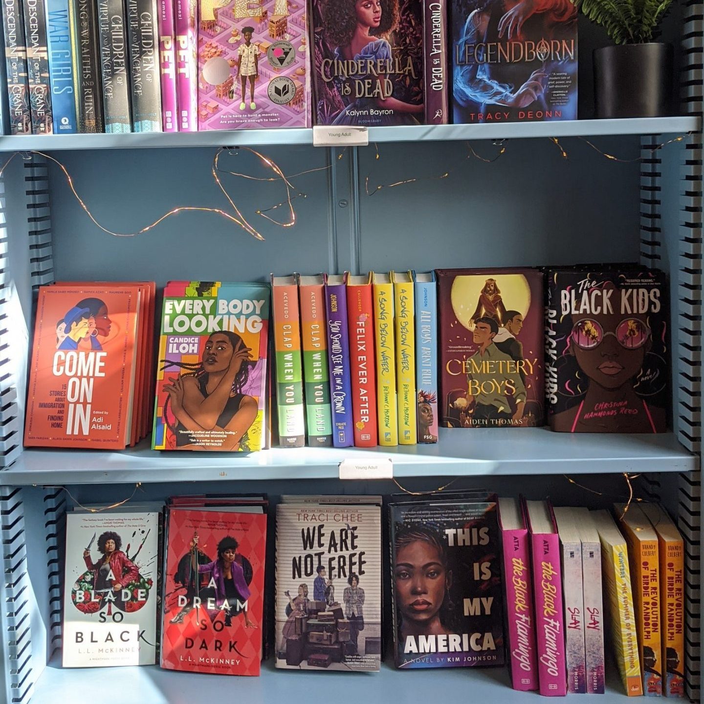 Books are displayed on a blue shelf, showcasing various colorful covers. A string of small lights is draped around the shelves for decoration.