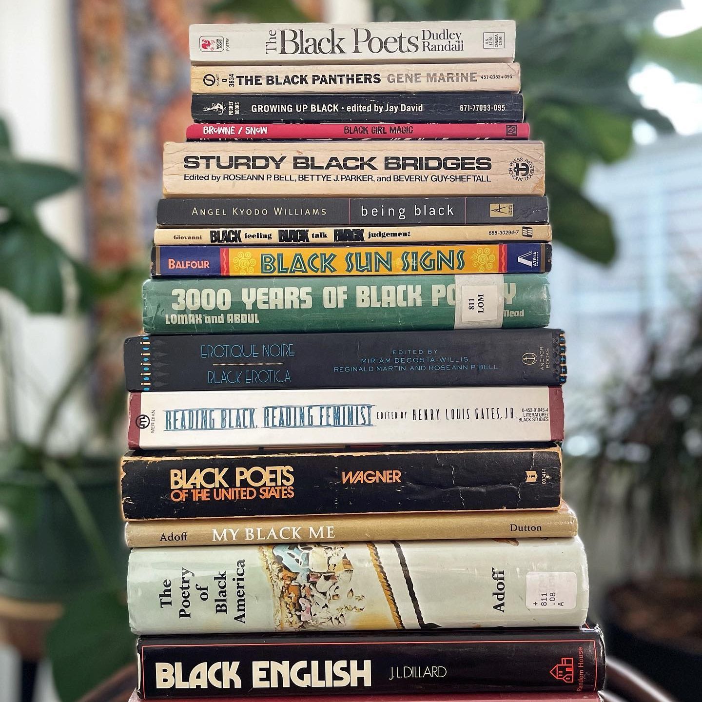 A stack of books sits on a table, titles focused on Black culture and history, surrounded by a blurred indoor setting with plants.