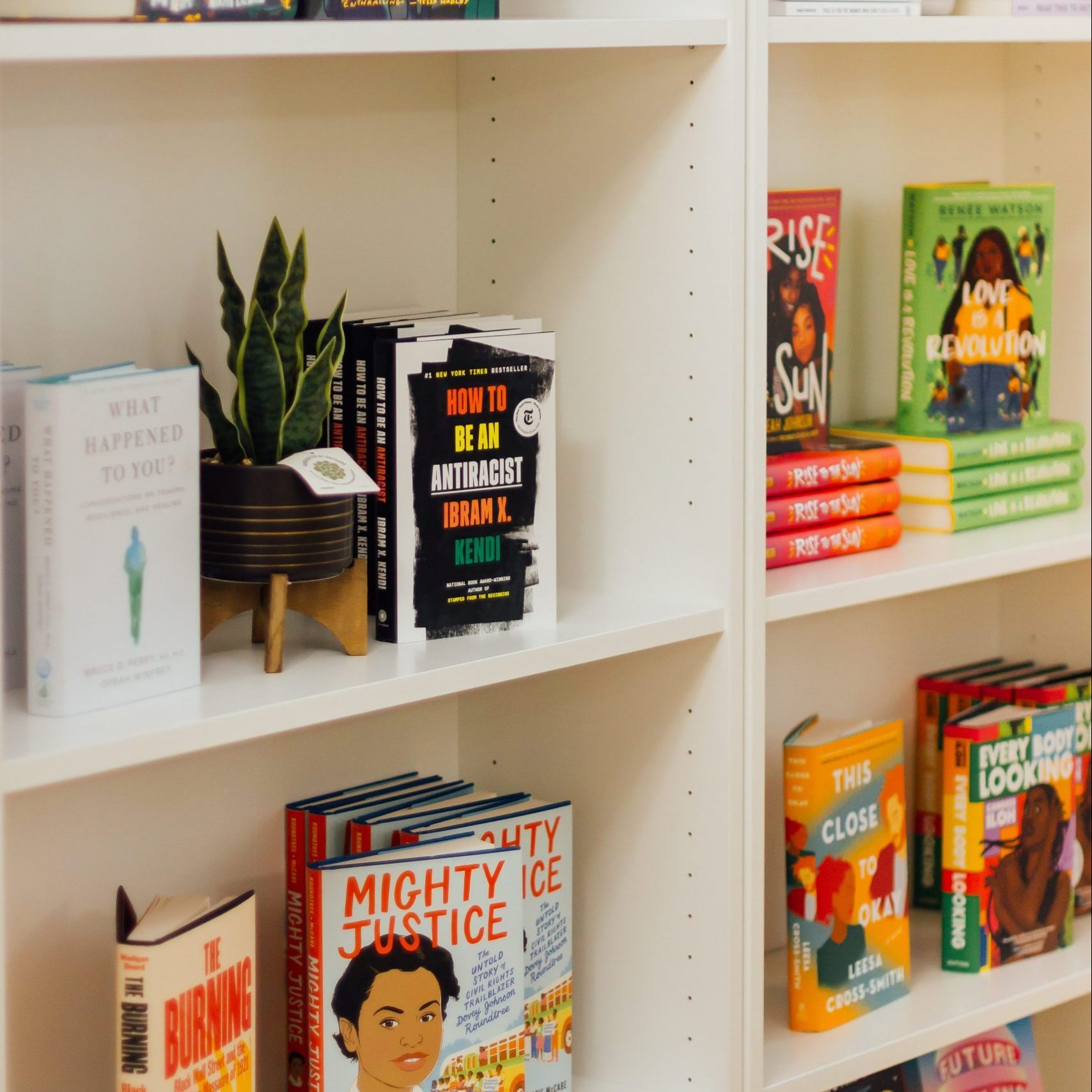 Books arranged on white shelving, featuring diverse titles like "How to Be an Antiracist." A small potted plant decorates the bookshelf.