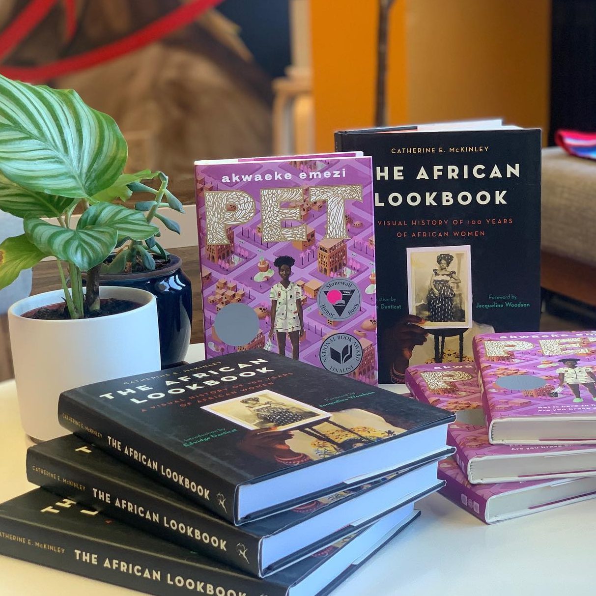 Books are stacked upright and flat, titled "PET" and "The African Lookbook," beside a potted plant on a table indoors.