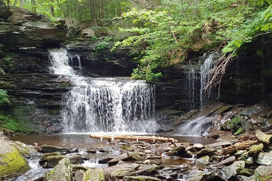 Pennsylvania: Ricketts Glen State Park